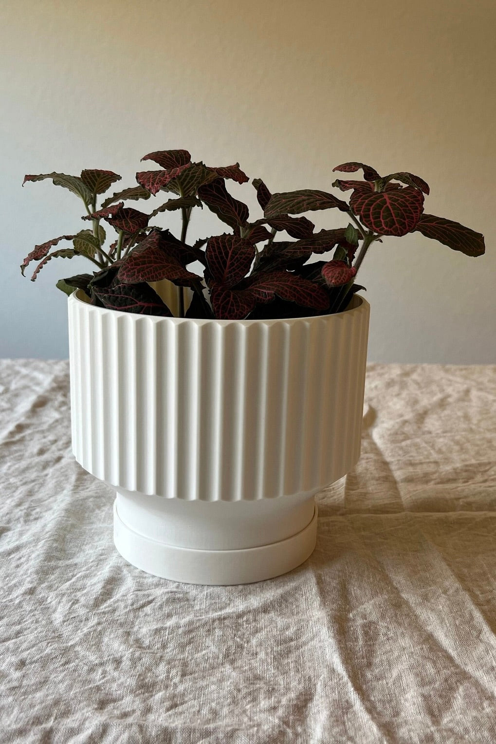 CLASSIC PLANTER POT - WHITE