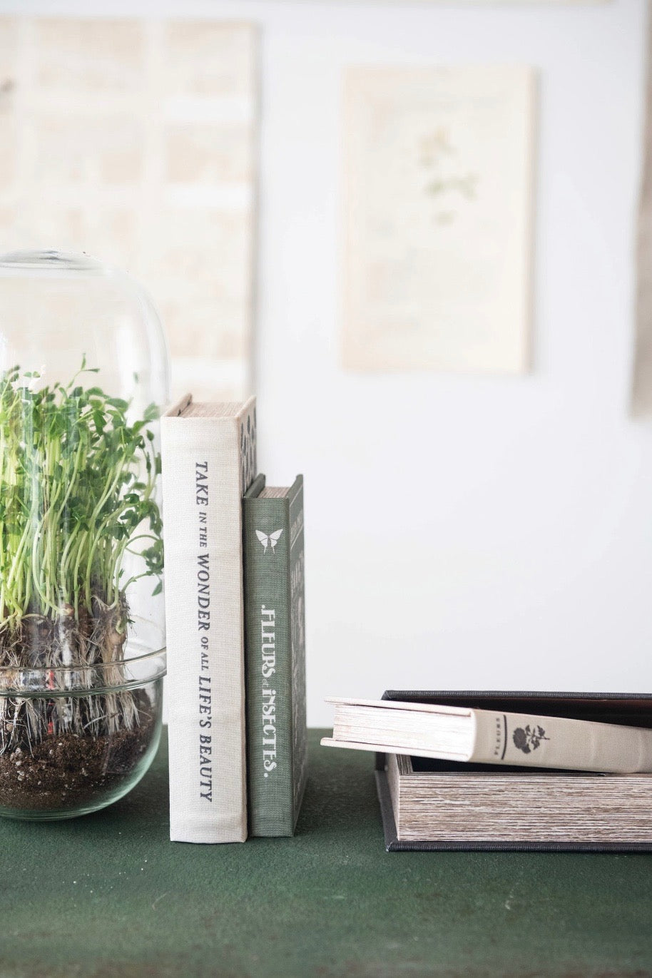 BOTANICAL BOOK STORAGE BOXES